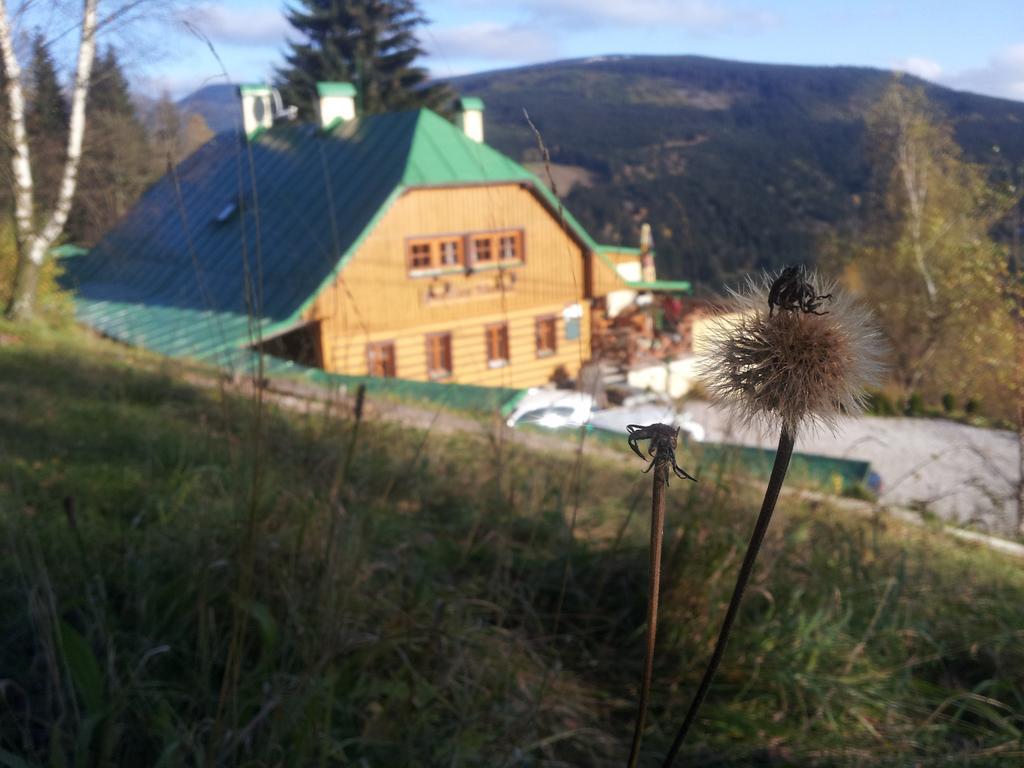 Penzion Alenka Špindlerŭv Mlýn Buitenkant foto