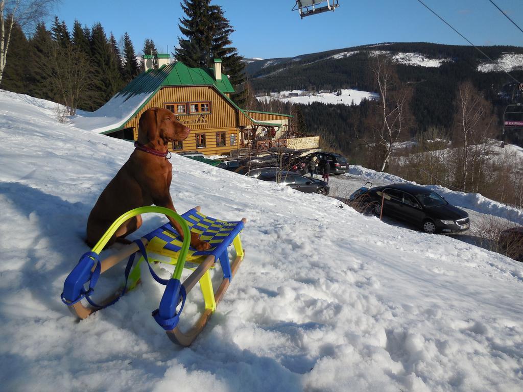 Penzion Alenka Špindlerŭv Mlýn Buitenkant foto