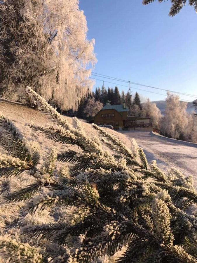 Penzion Alenka Špindlerŭv Mlýn Buitenkant foto