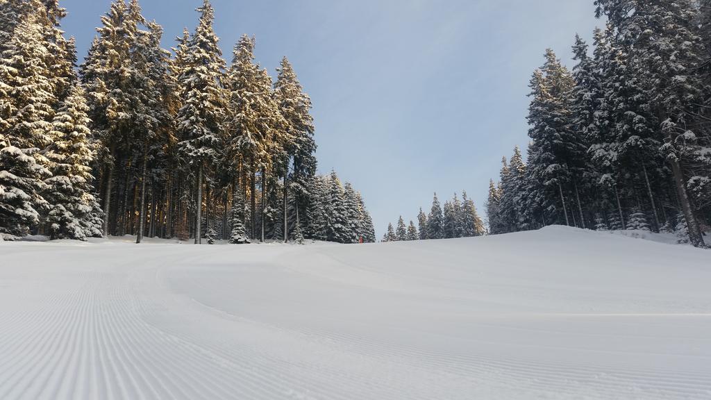 Penzion Alenka Špindlerŭv Mlýn Buitenkant foto