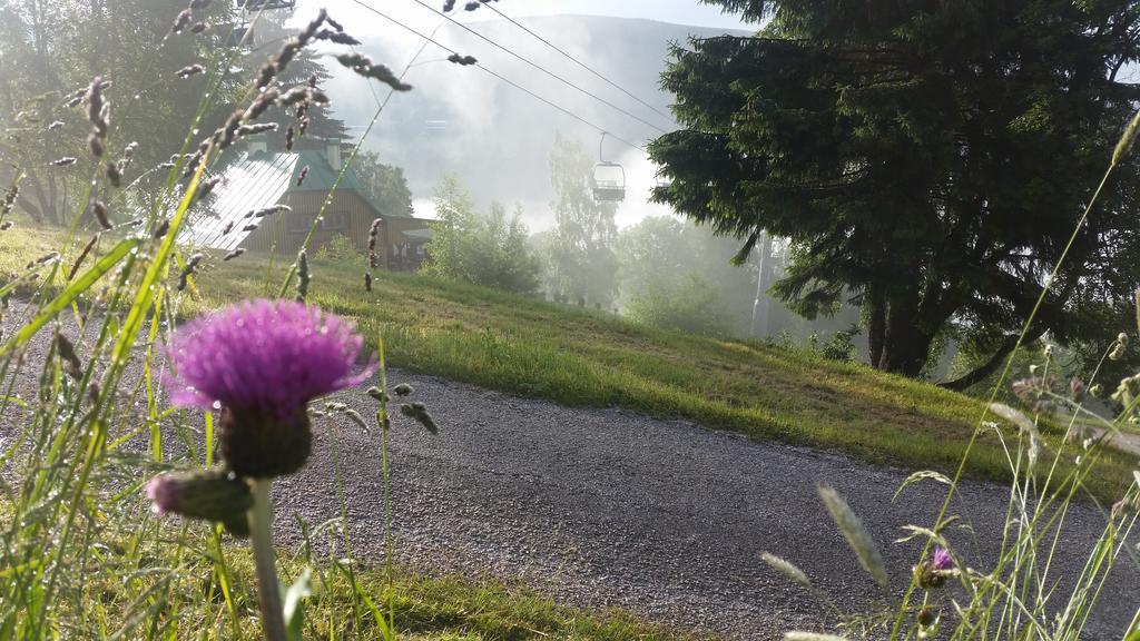 Penzion Alenka Špindlerŭv Mlýn Buitenkant foto