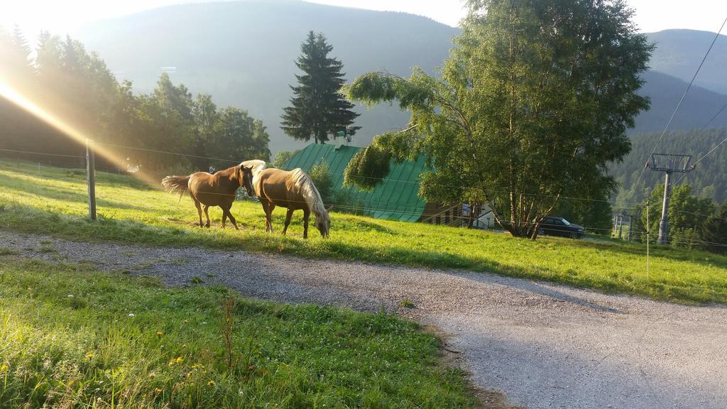 Penzion Alenka Špindlerŭv Mlýn Buitenkant foto