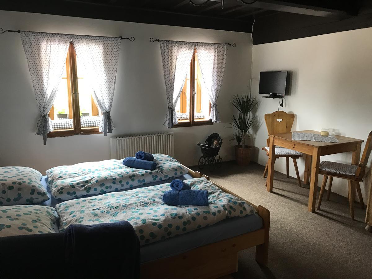 Penzion Alenka Špindlerŭv Mlýn Buitenkant foto