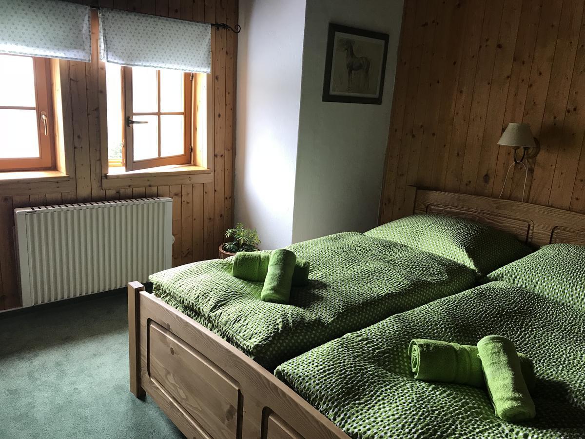 Penzion Alenka Špindlerŭv Mlýn Buitenkant foto